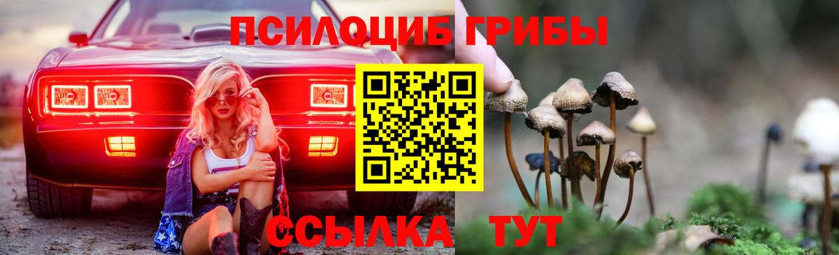 Псилоцибиновые грибы ЛСД  Галлюциногенные грибы Psilocybe  Алейск  Вход с VPN 